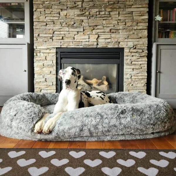 luxury super large sleep deeper human dog bed 2