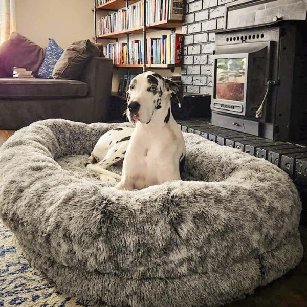 luxury super large sleep deeper human dog bed 4