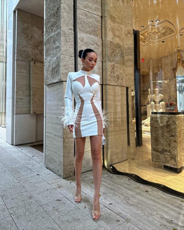 nancee mini dress 6