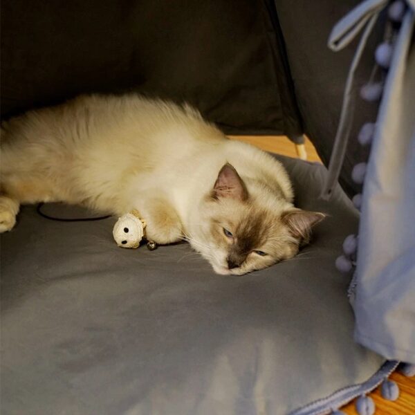 portable removable pet tent with cushion 2