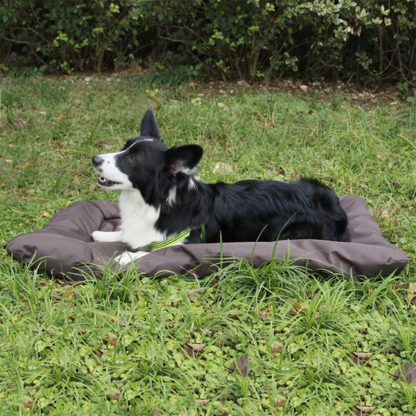 portable travel camping dog mattress 2