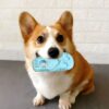 slipper shape dog chew toy 4