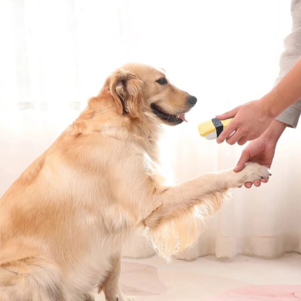 squeaky sound sushi dog toy 3