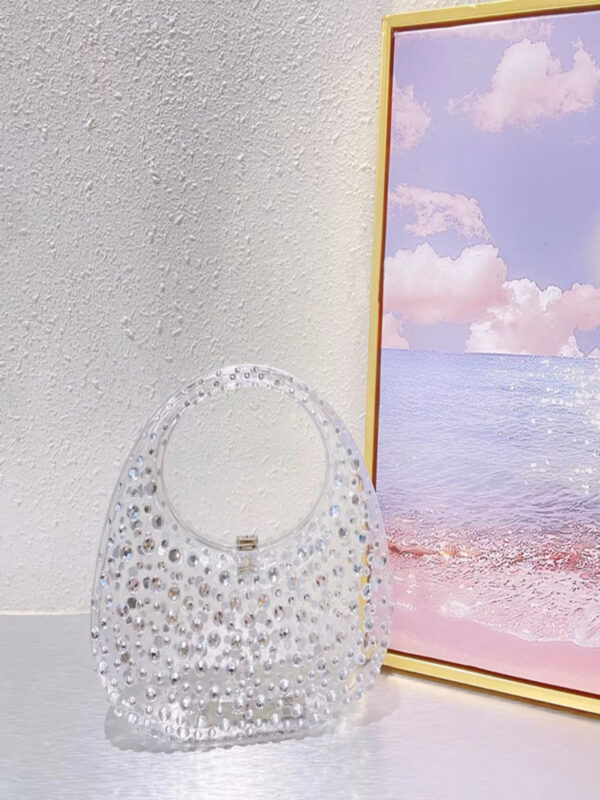 asher clear embellished bag 2