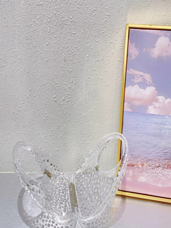 asher clear embellished bag 3