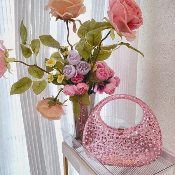 asher clear embellished bag in pink 2