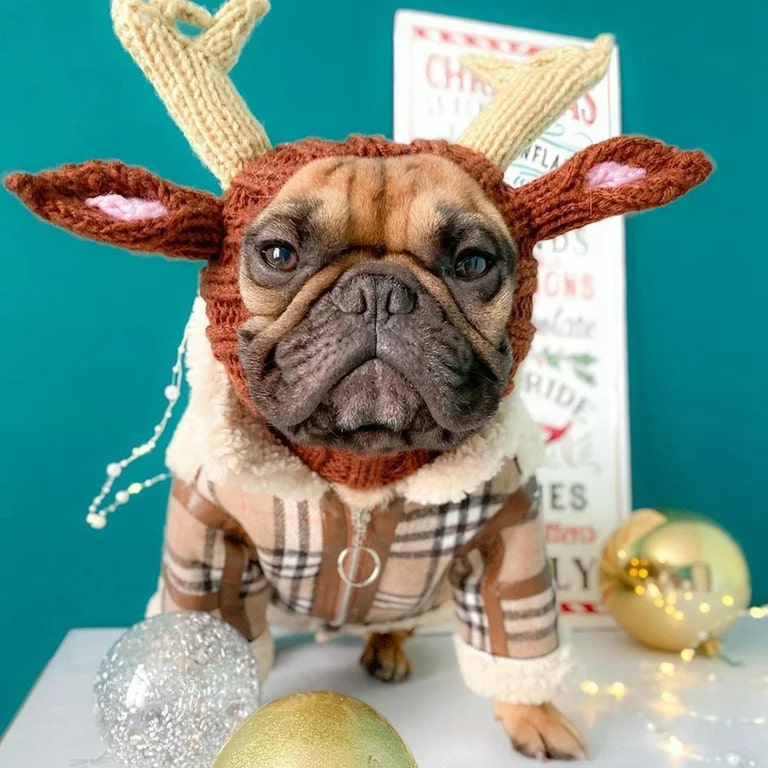 christmas reindeer dog hat 2