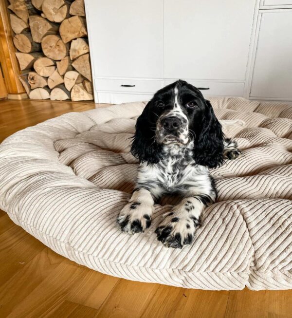 corduroy round durable pet pillow 2