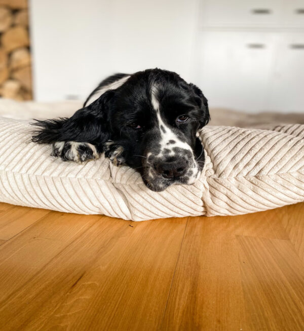 corduroy round durable pet pillow bed 3
