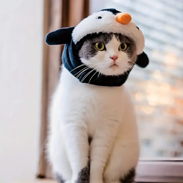 cute animal design hat for cats 5
