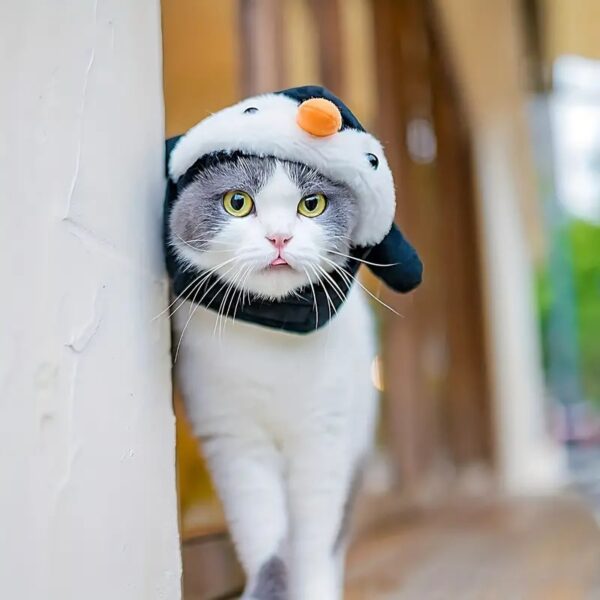 cute animal design hat for cats 6