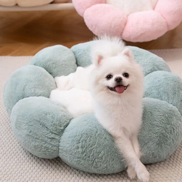 flower shape fluffy warm dog & cat bed 2