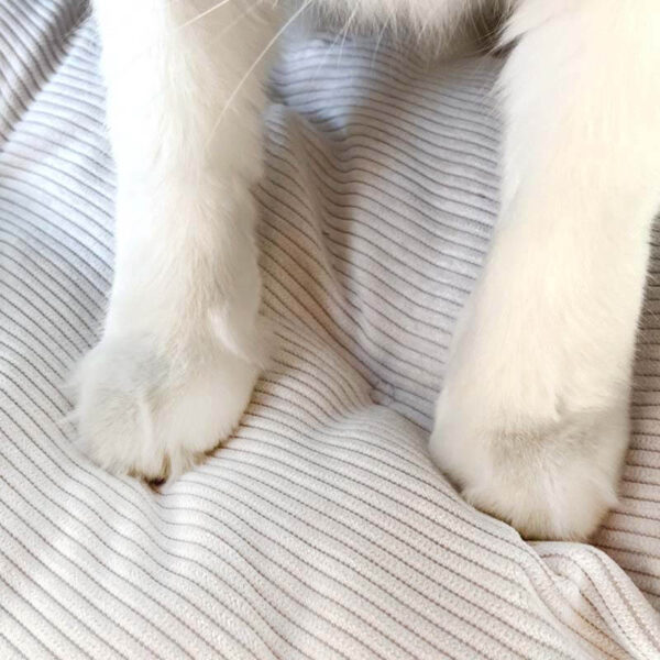 washable kraft paper cat basket bed 4