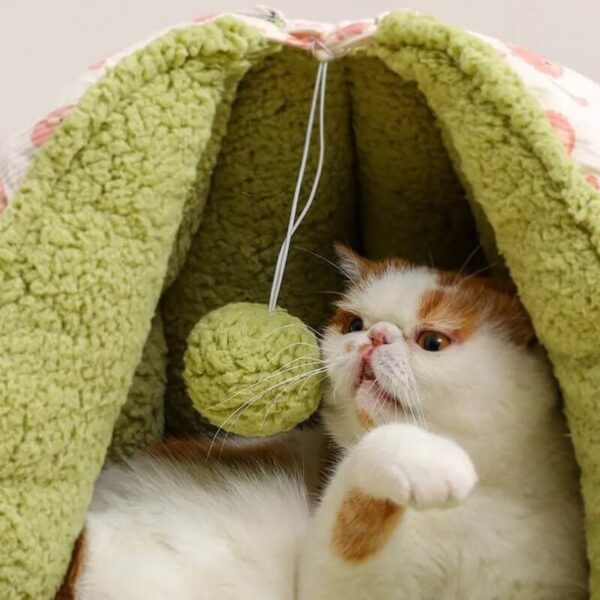 cute bear semi enclosed warm cat cave 7