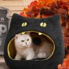 halloween black cat pet house 1