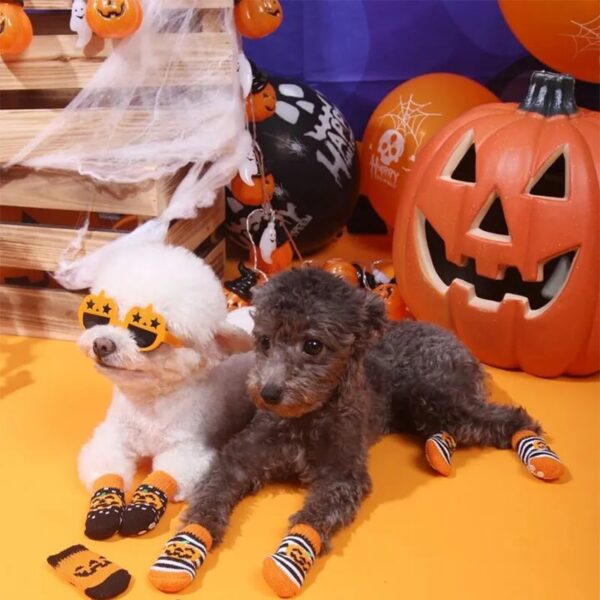 halloween decoration fashion pumpkin dog goggles 3