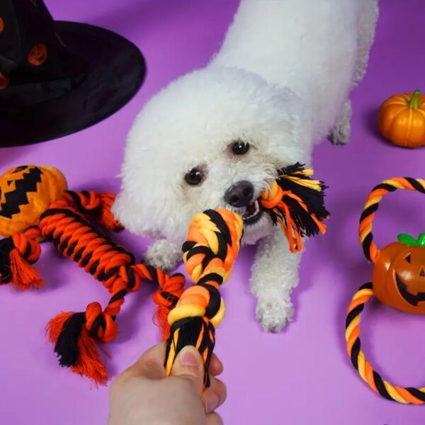 halloween pumpkin cotton rope chew dog toy 5
