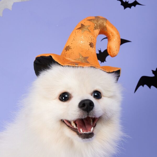 halloween star pattern witch hat for dogs 1