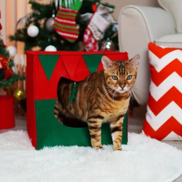 christmas gift box pet house 2
