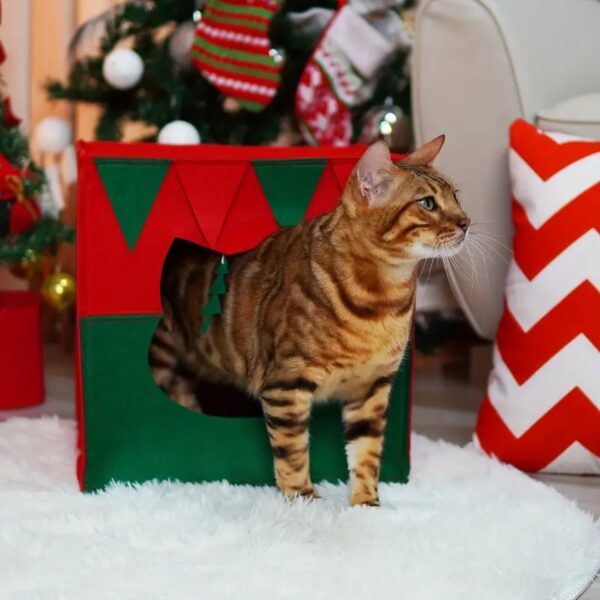 christmas gift box pet house 4