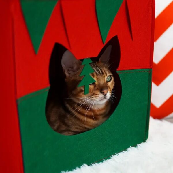 christmas gift box pet house 5