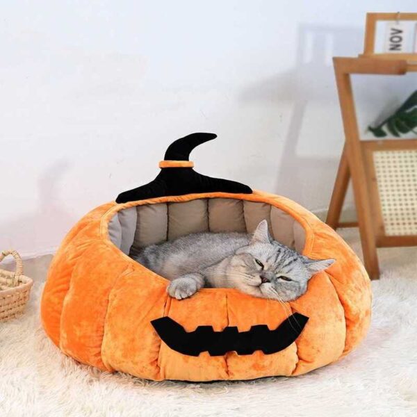 halloween pumpkin cute cat nest (1)