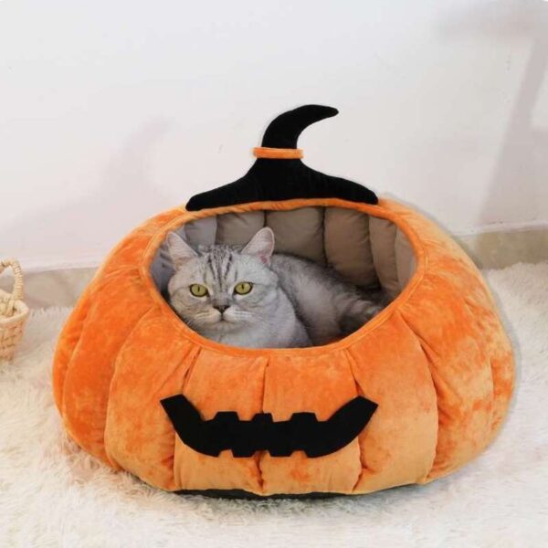 halloween pumpkin cute cat nest (2)