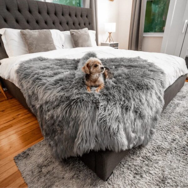 pupprotector™ waterproof throw blanket charcoal grey 11