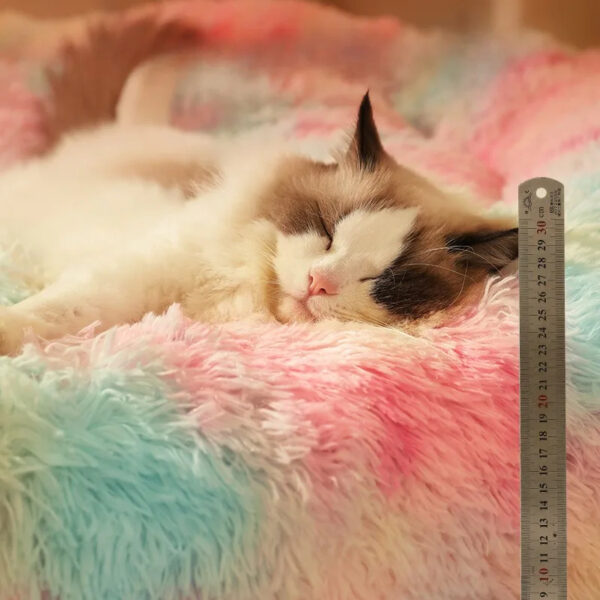 rainbow plush round shape cozy pet bed 16