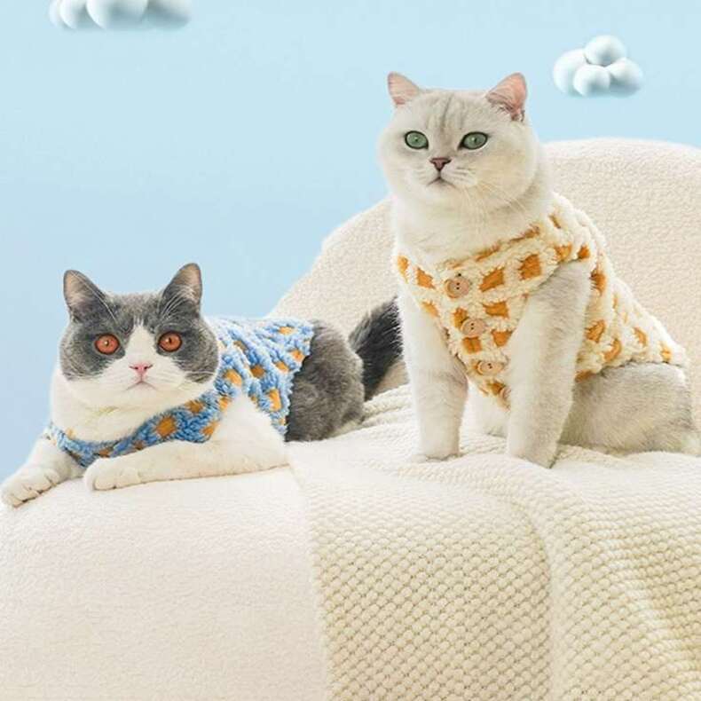waffle lattice cat sweater 50001
