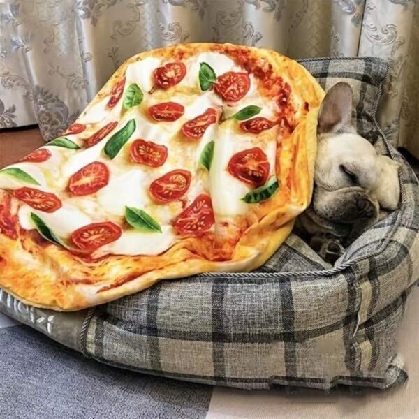 warm winter pizza shaped pet bla (1)