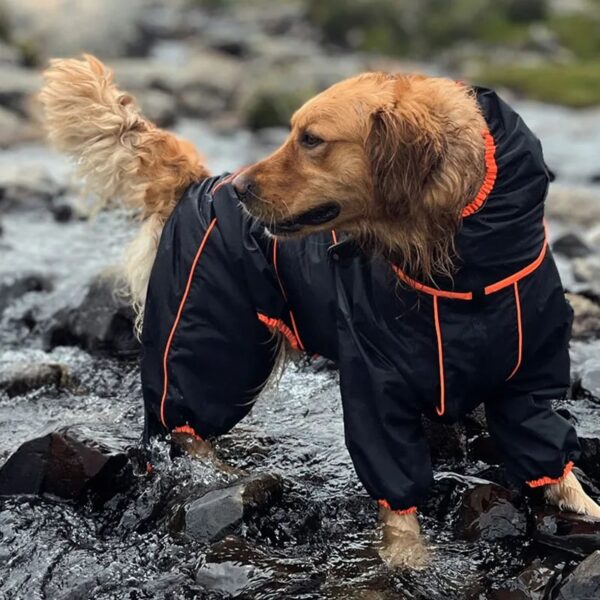 waterproof adjustable raincoat for large dog 11