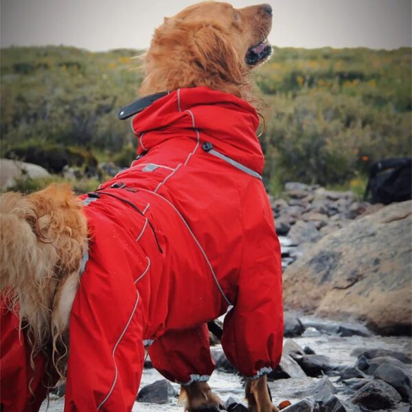 waterproof adjustable raincoat for large dog 12