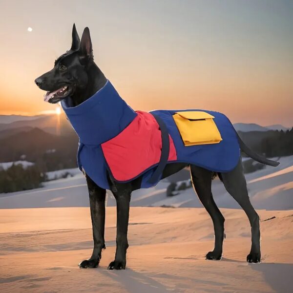 winter modern fashion large big dog coat jacket 56