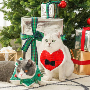 christmas & heart shaped cat bib 11