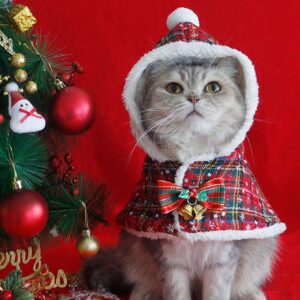 christmas pet cloak cape 11