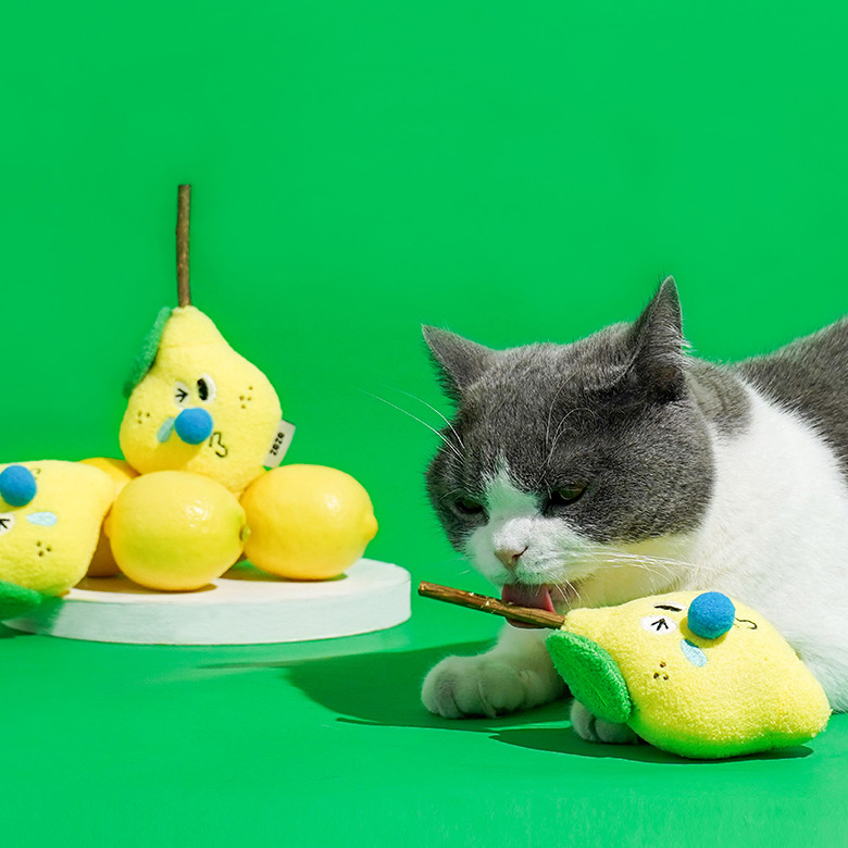 lemon silvervine cat toy 1 lemon silvervine cat toy 1