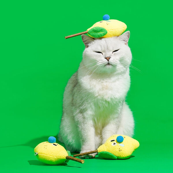 lemon silvervine cat toy 4