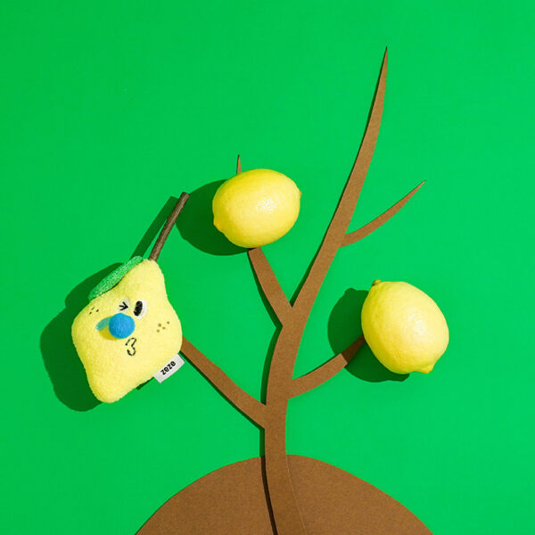 lemon silvervine cat toy 6