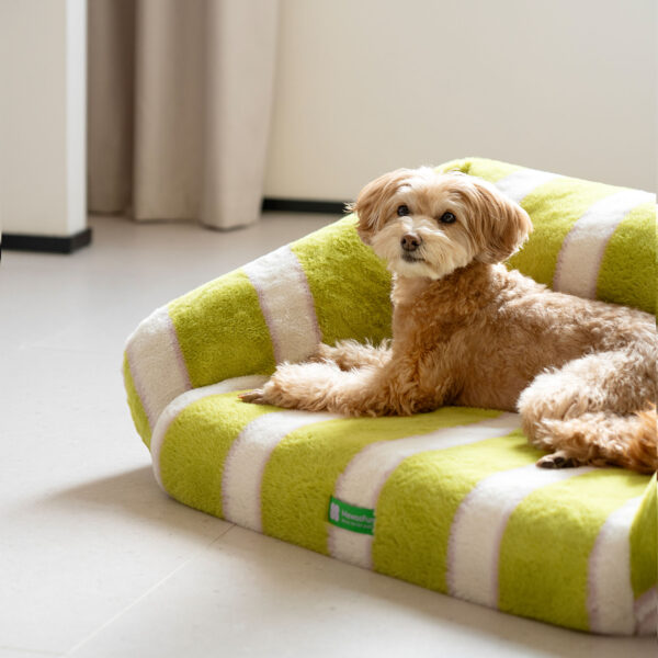 luxury modern striped pet sofa 7