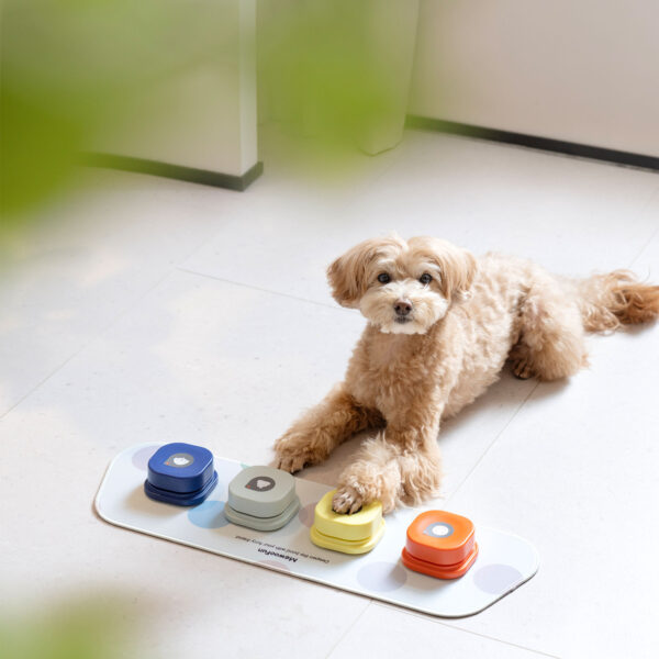 recordable training dog talking button 1