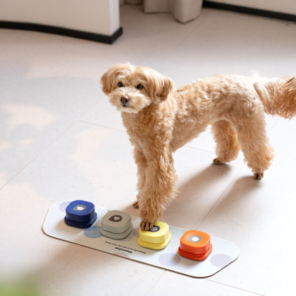 recordable training dog talking button 2