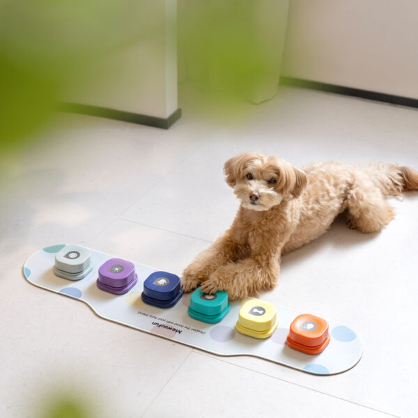 recordable training dog talking button 3