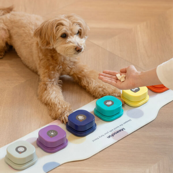 recordable training dog talking button 5