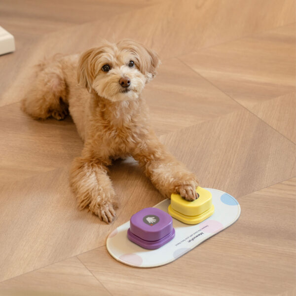 recordable training dog talking button 6