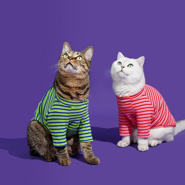 striped shirt for cats 2