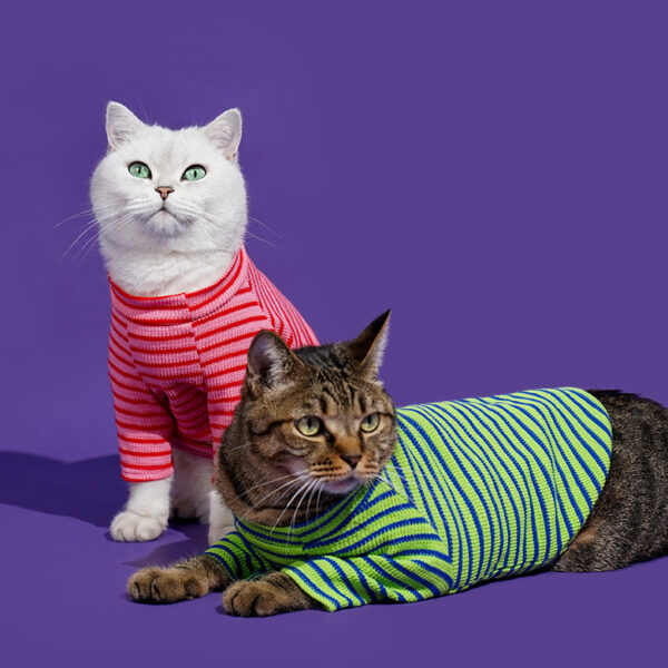 striped shirt for cats 8