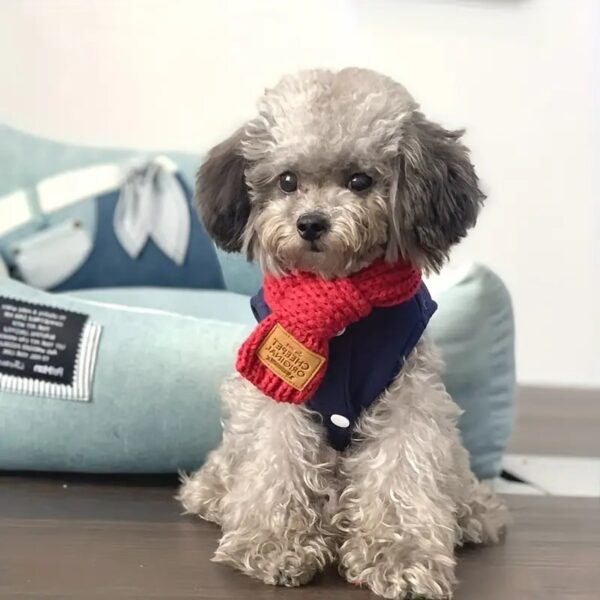 warm winter knitted pet scarf 5