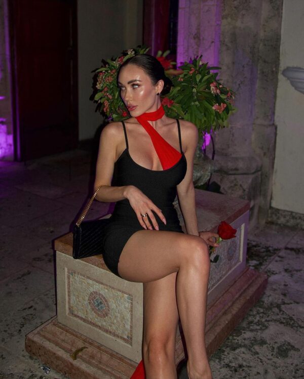 zarie mini dress 4