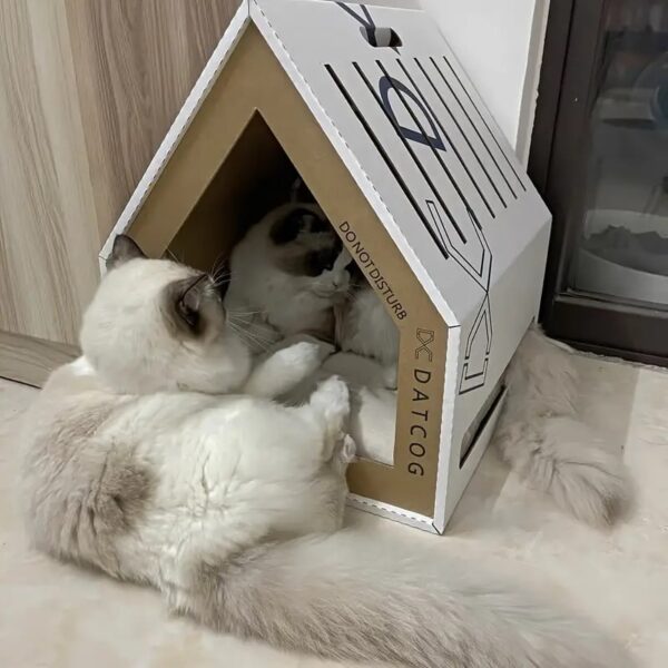 cardboard cat house with scratching board 6